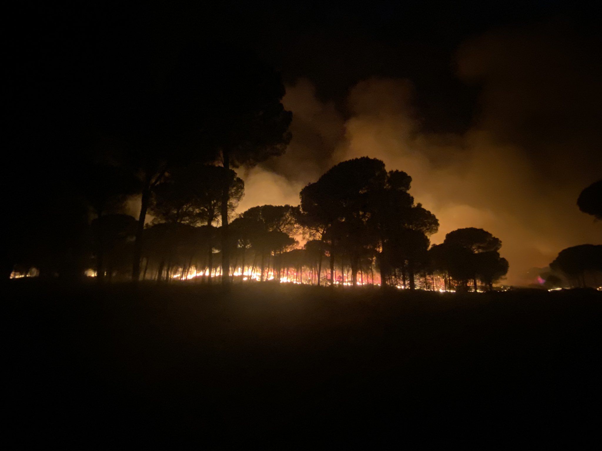 Uno de los incendios producidos en las inmediaciones de Doñana este verano.