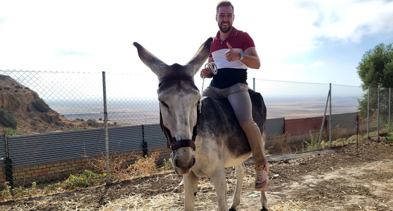 Una de las burras que hará el Camino de Santiago para dar visibilidad a esta raza.