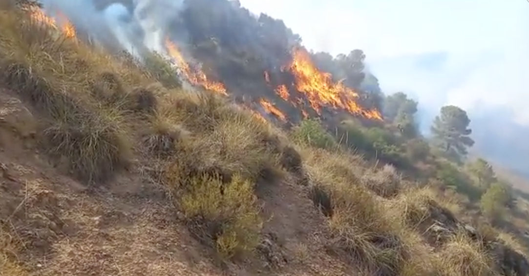 El incendio de Jódar, en Jaén, se da por estabilizado.
