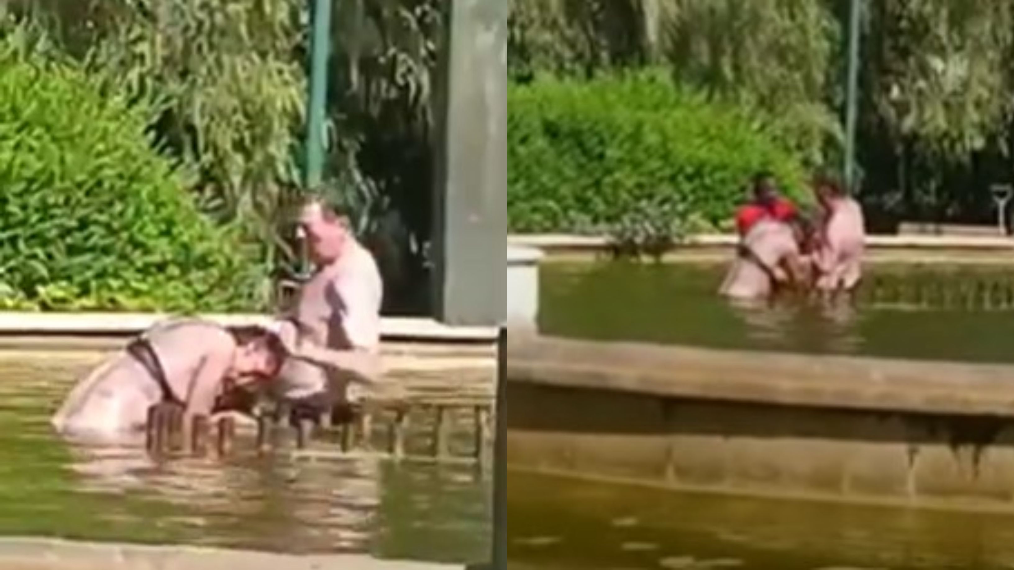 Un hombre intenta ahogar a una mujer en una fuente.  TWITTER.