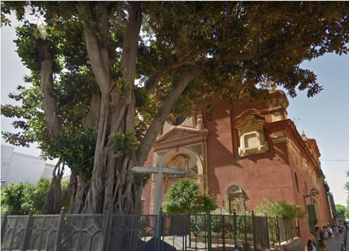 Las tareas de poda previa provocarán alteraciones en la circulación. Asociaciones de defensa de los árboles se están movilizando para evitar la tala.