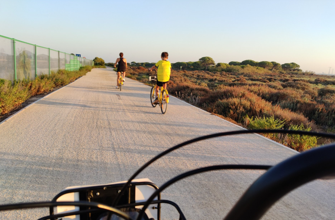Este sábado 20 de agosto se celebra la ruta guiada en bicicleta entre Los Toruños y la desembocadura del río San Pedro.