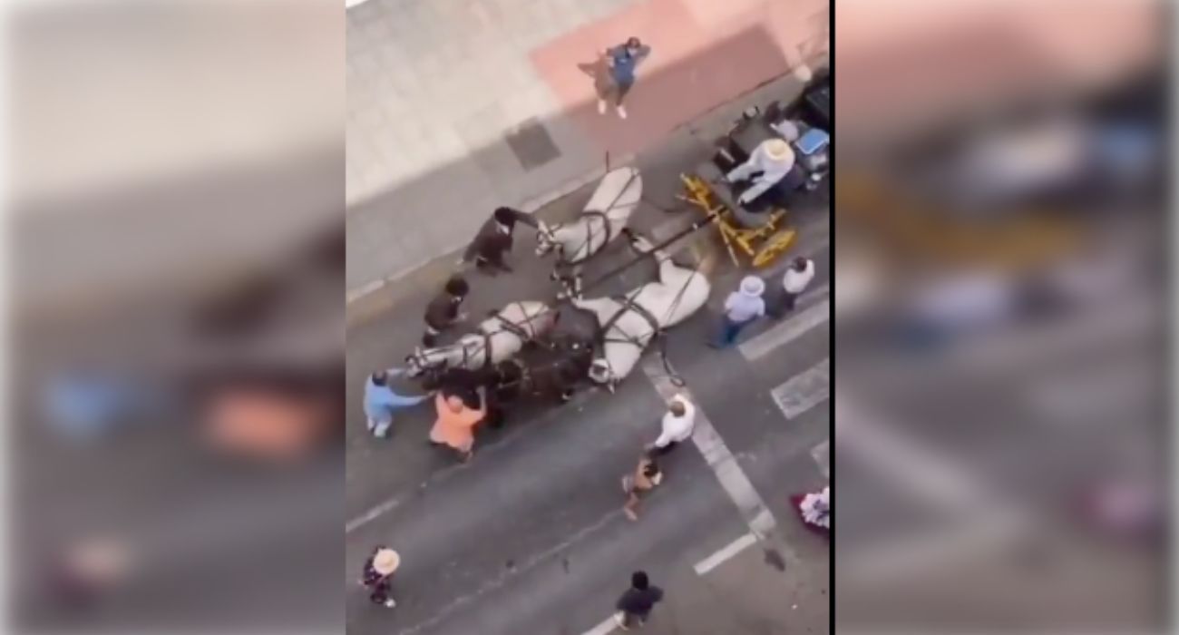 El caballo desplomado en la Feria de Málaga.
