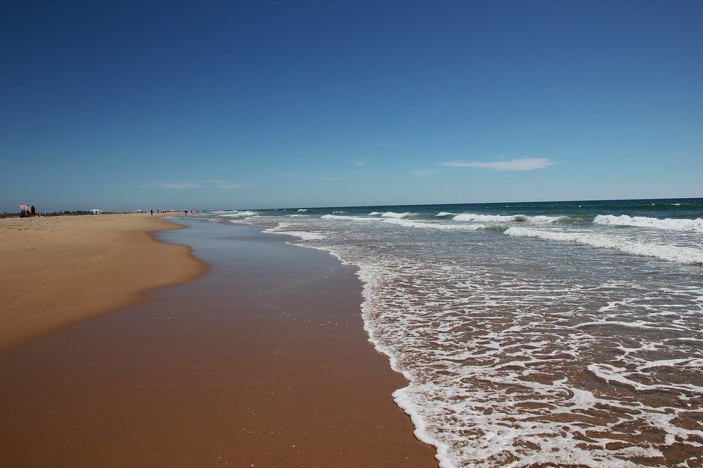 Playa de Castilnovo, en Conil. FOTO: NATURISMO.ORG