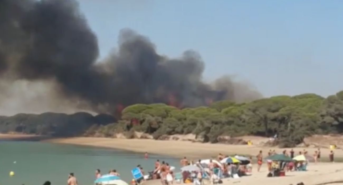 Las llamas, desde la playa de El Conchal, del fuego que está afectando al Pinar de La Algaida y Los Toruños. Las llamas, desde la playa de El Conchal, del fuego que está afectando al Pinar de La Algaida y Los Toruños.