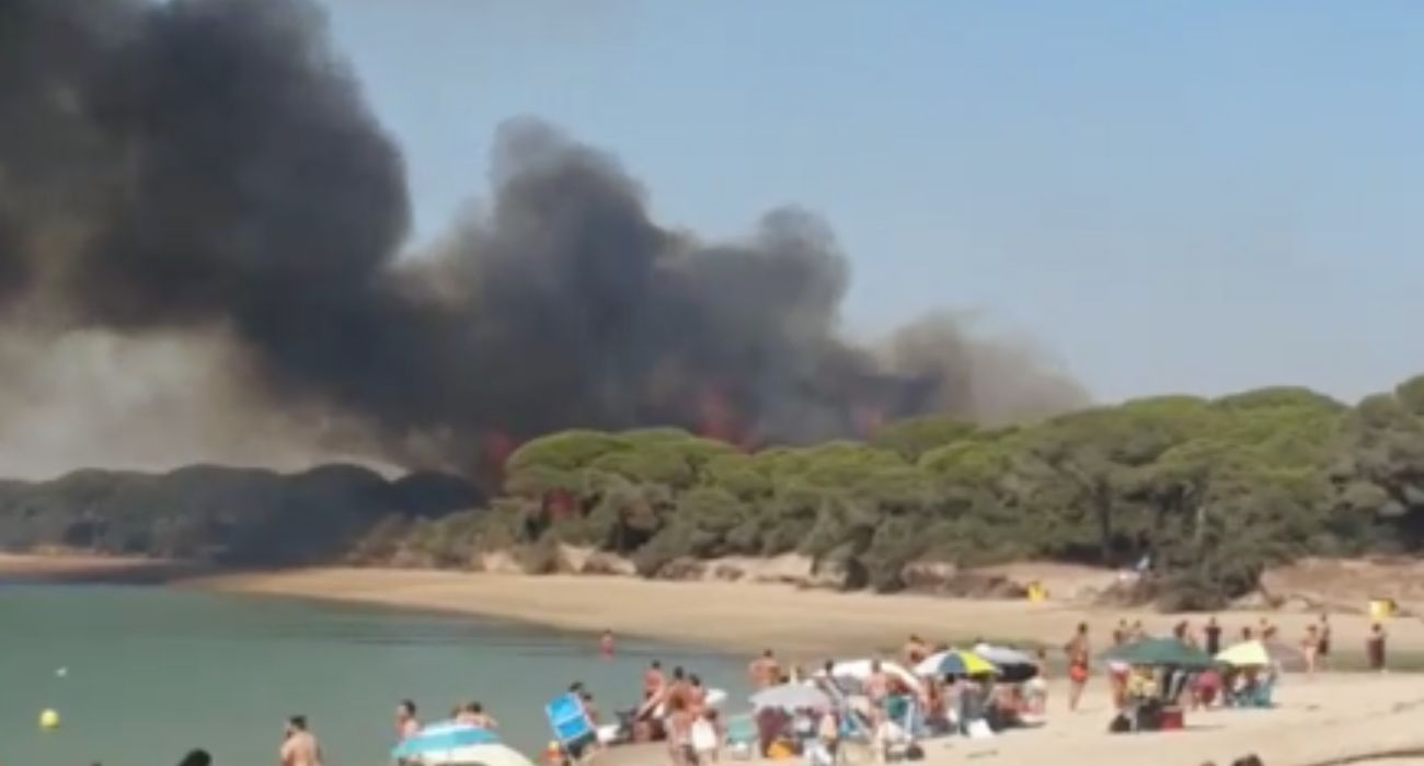 Las llamas, desde la playa de El Conchal, del fuego que está afectando al Pinar de La Algaida y Los Toruños.