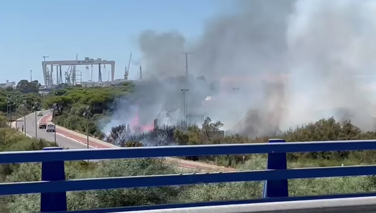Imágenes del incendio en Puerto Real. Al fondo, Cádiz.