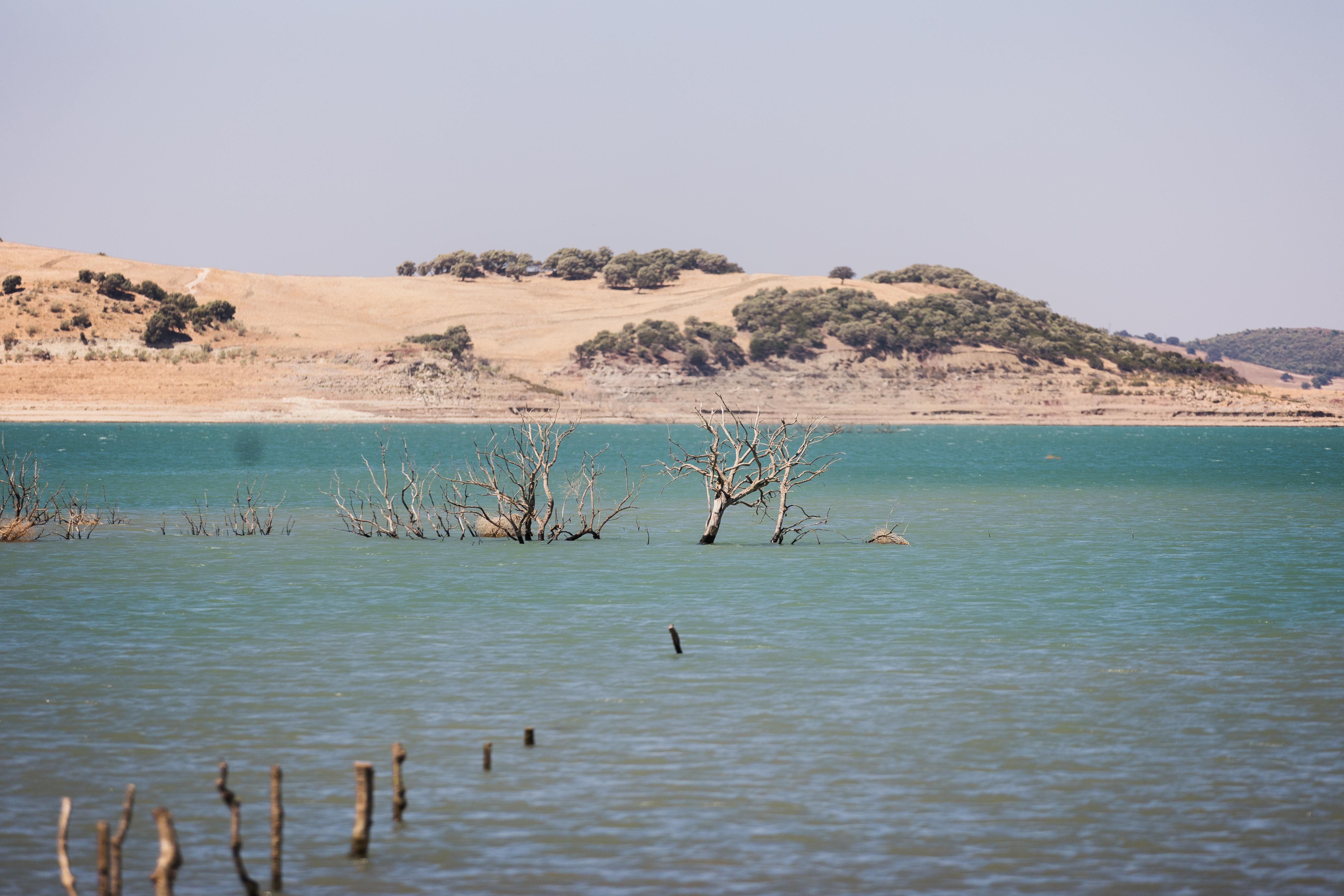 Embalse de Guadalcacín II, afectado gravemente por la sequía. MANU GARCÍA