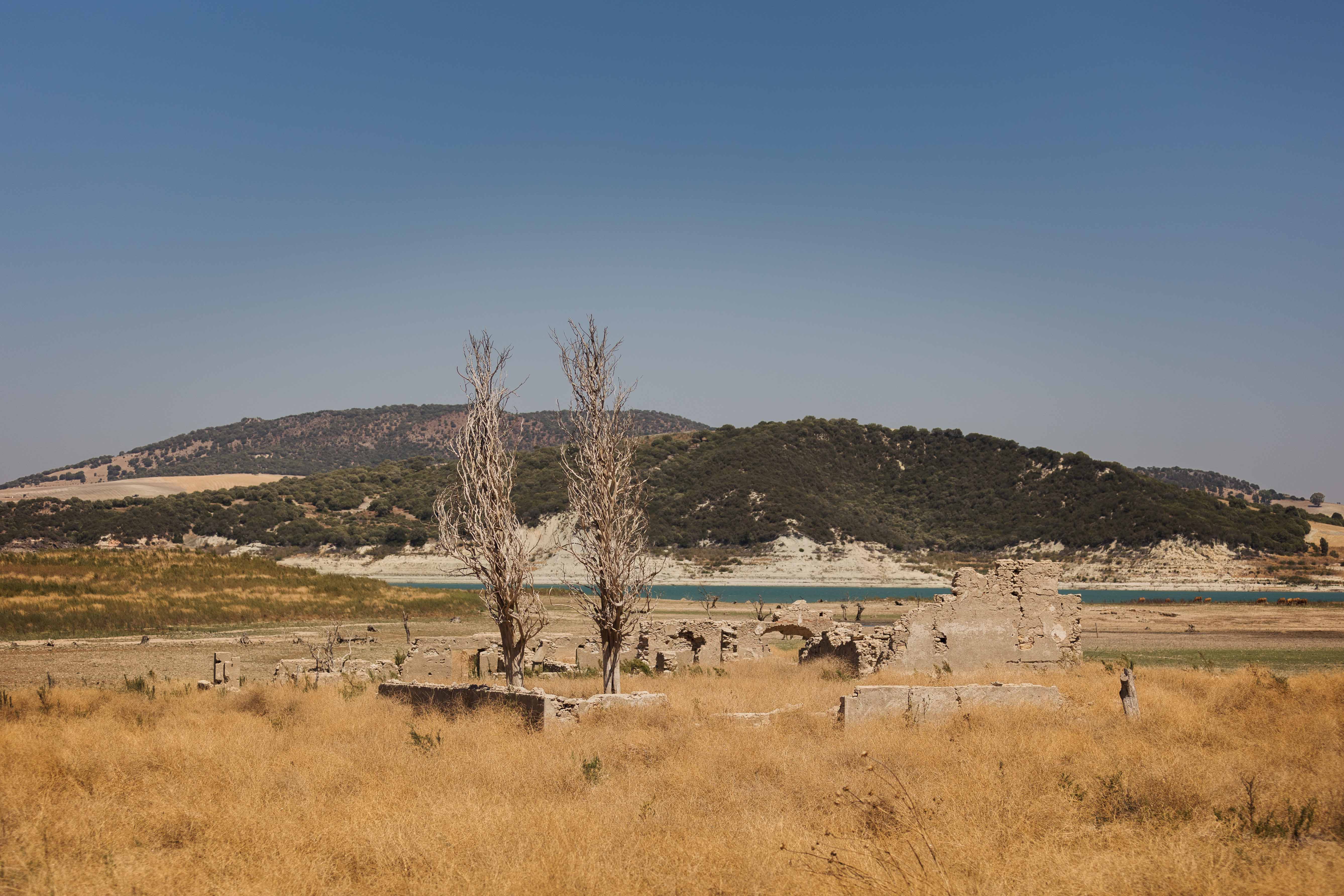 Aspecto desolador del embalse de Guadalcacín. La sequía es preocupante en Andalucía.