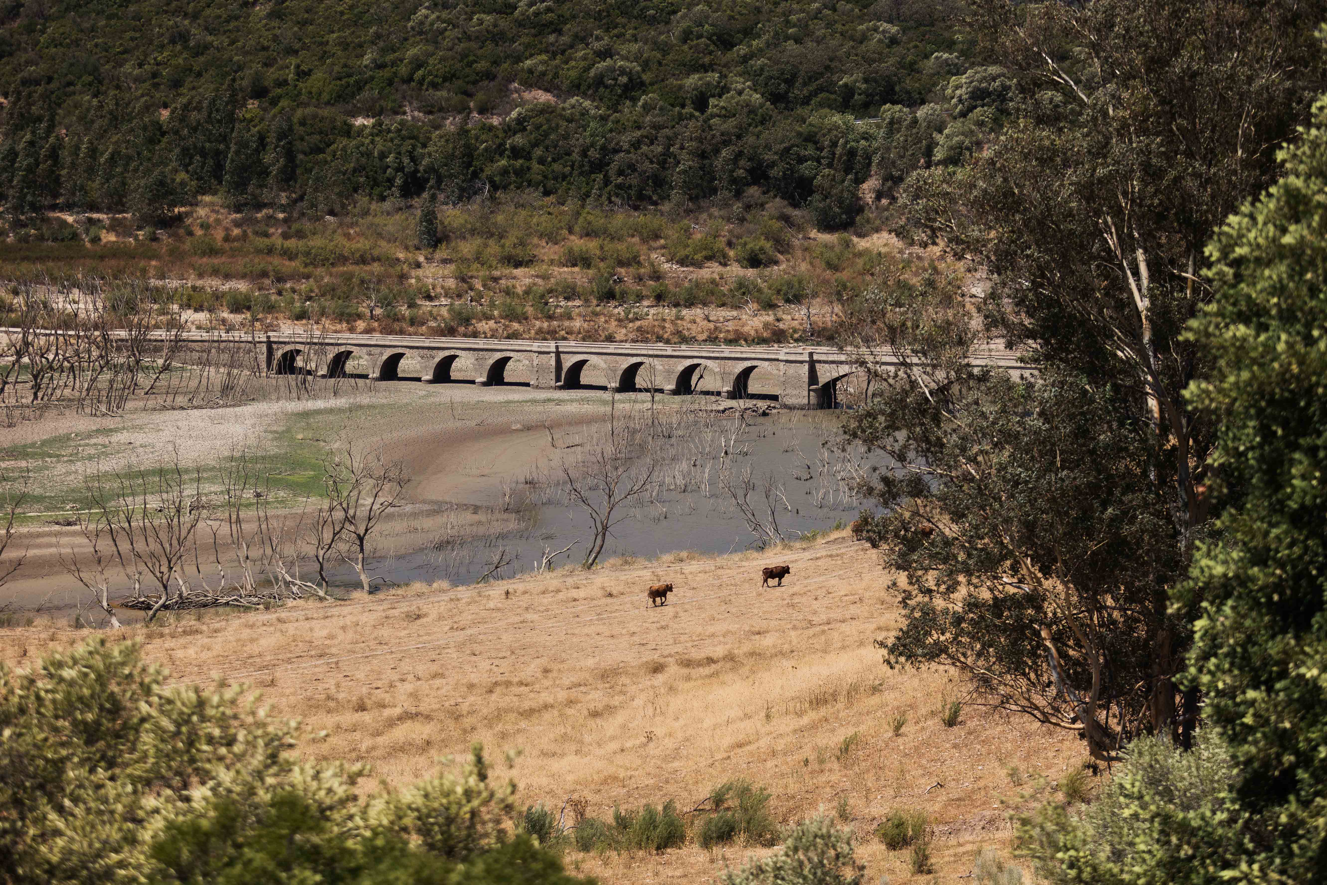 El embalse gaditano Guadalcacín II uno de los más afectados por la sequía.