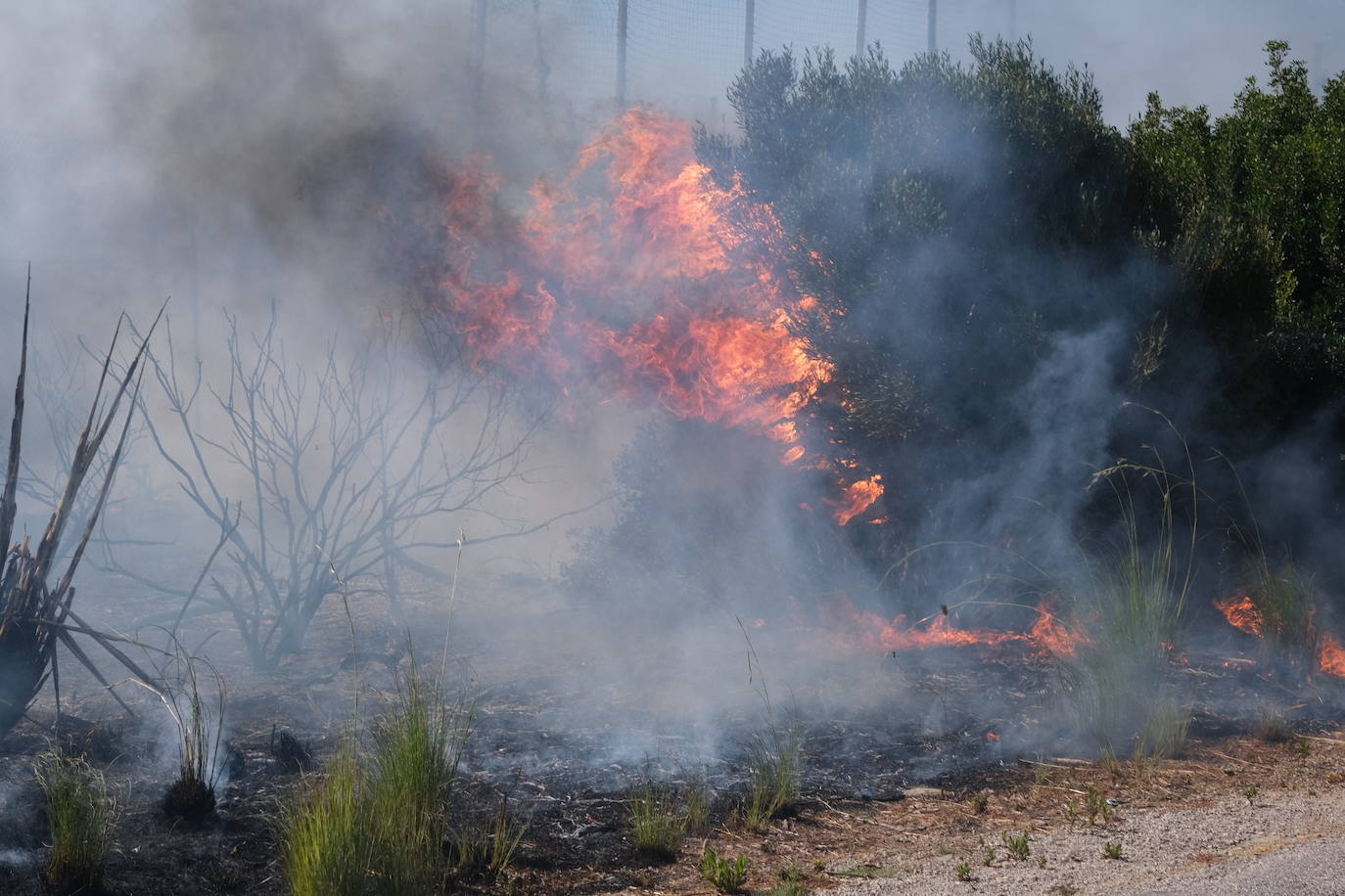 Una imagen del incendio de Puerto Real.