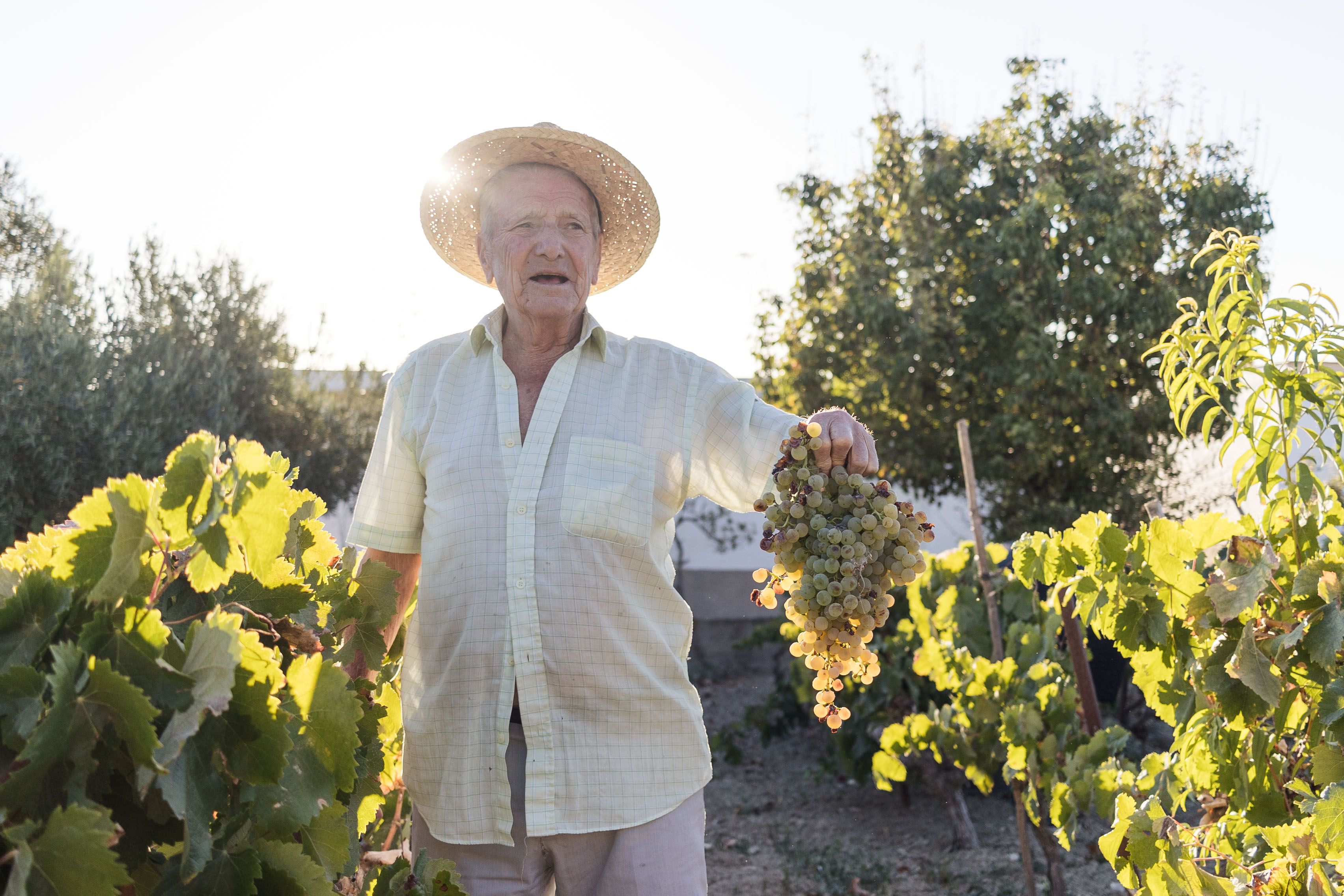 El cabeza de familia, sosteniendo un racimo de uvas.