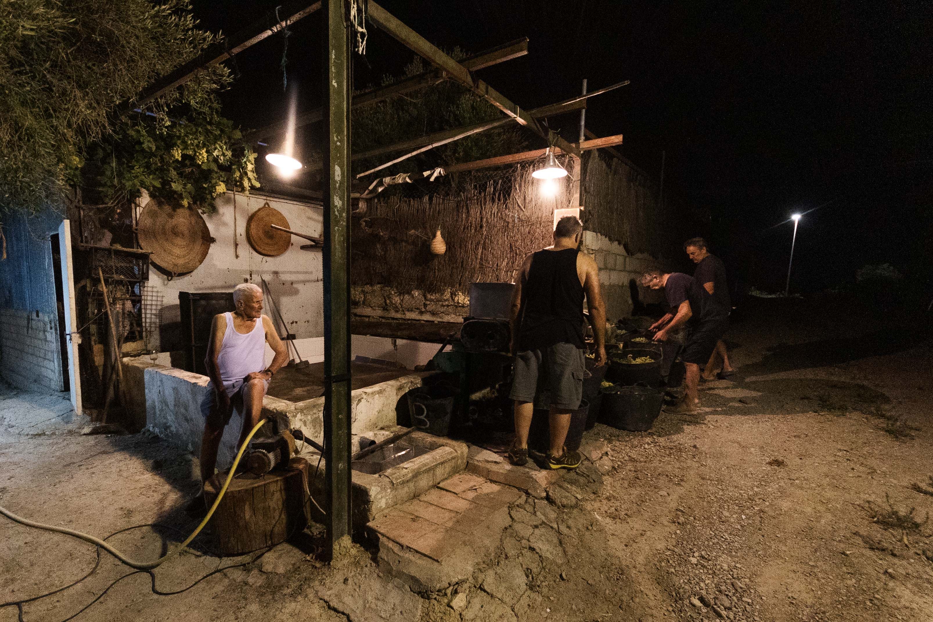 La familia, preparando el lagar para pisar la uva.