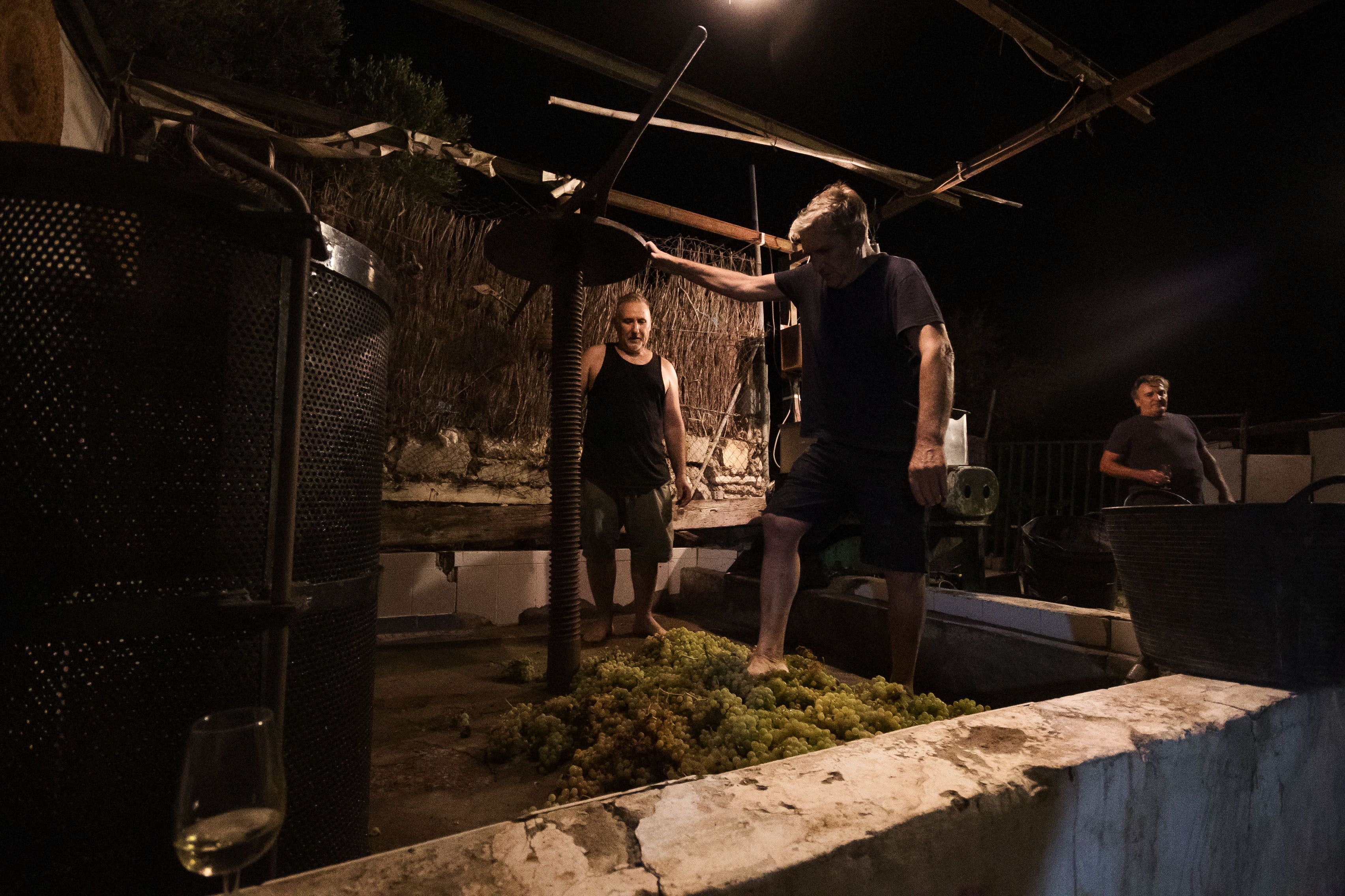 Los hijos de Paco, pisando uva.