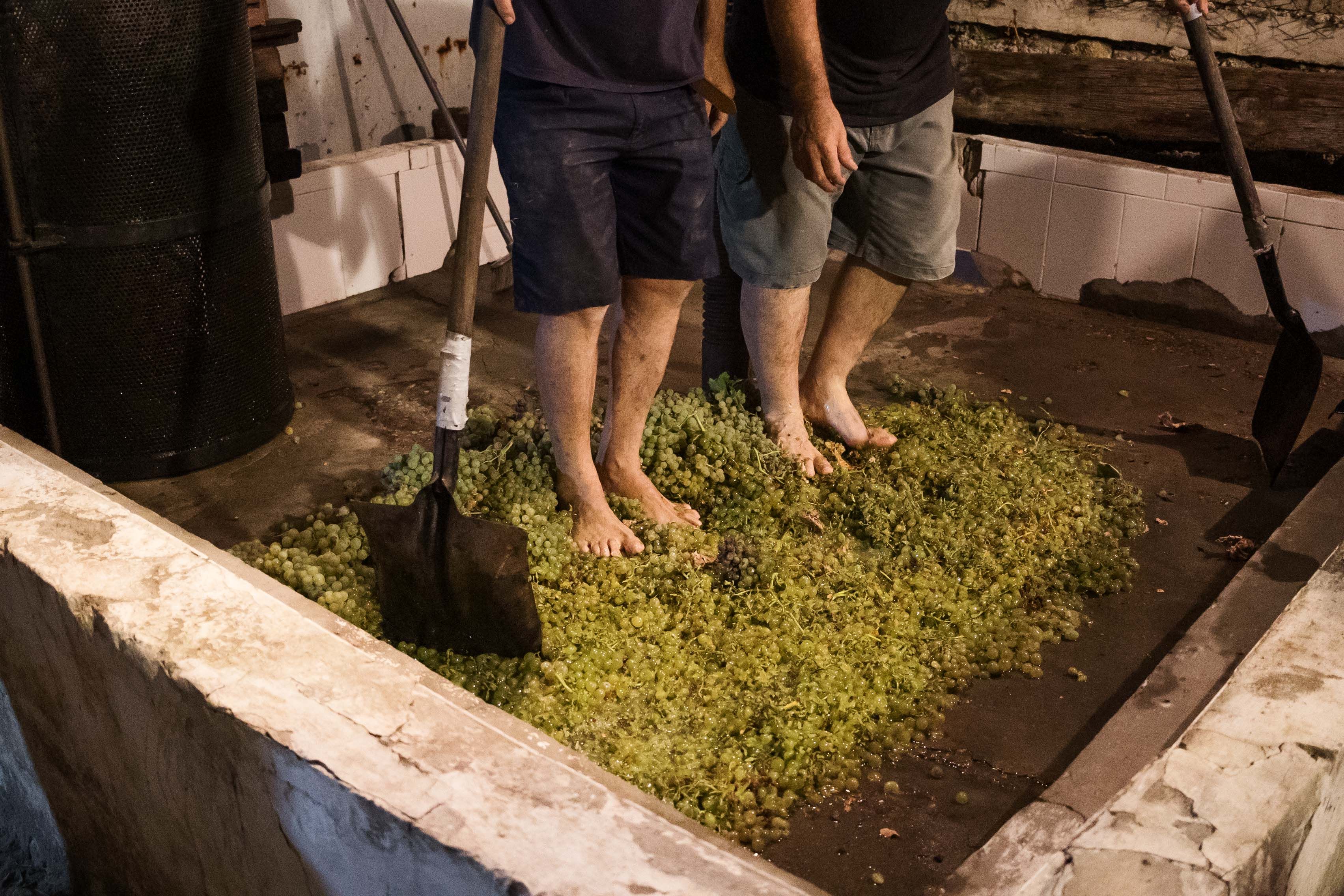 El ritual de los Lara se mantiene un año más.