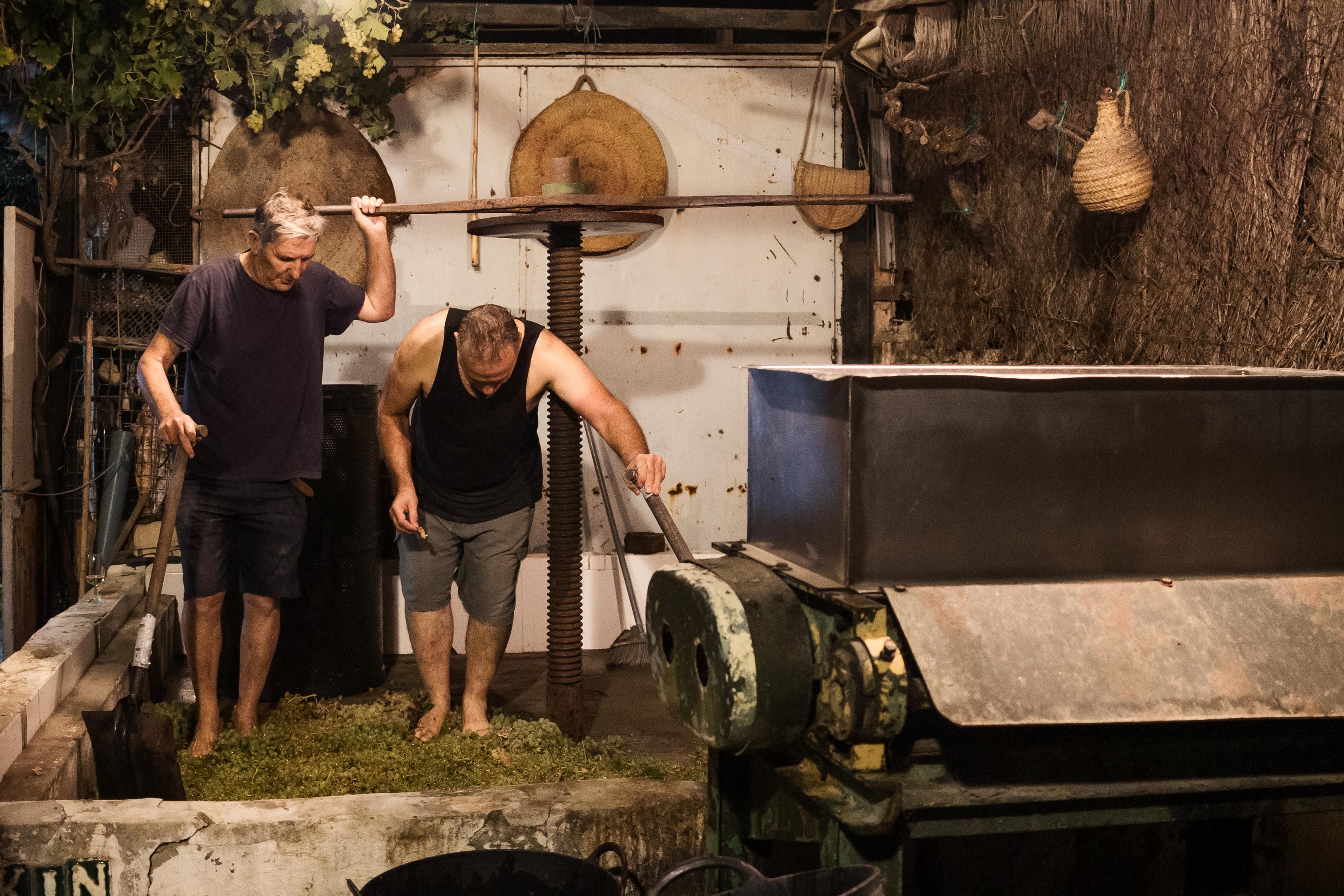 Paco y Quini, pisando uva en el lagar familiar.
