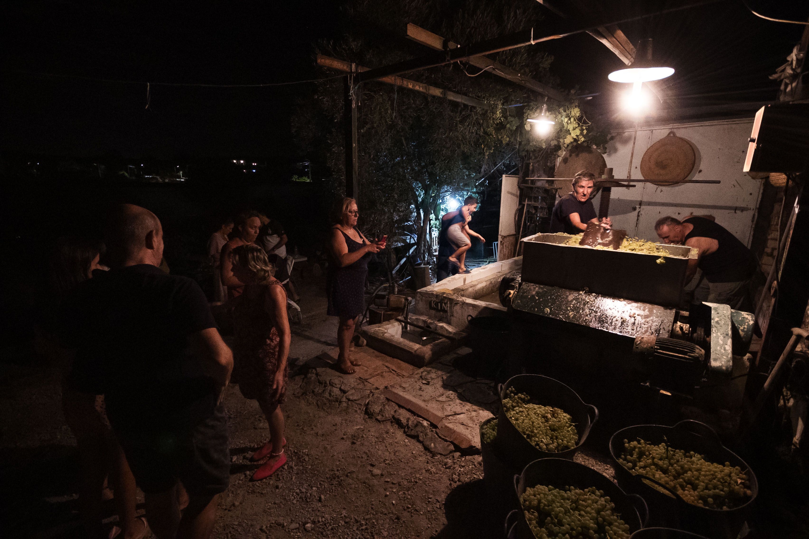 Miembros de la familia, en torno al lagar donde se pisa la uva.