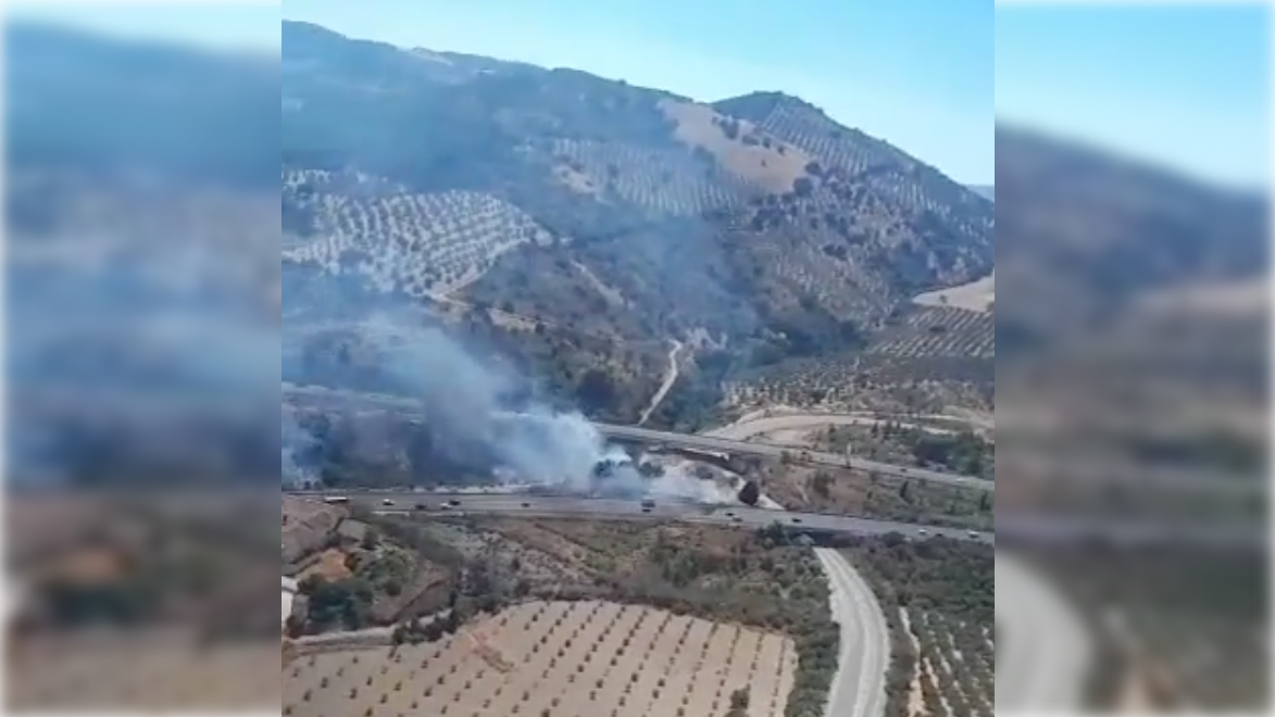 Incendio forestal en Antequera.