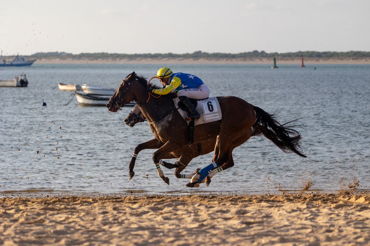 Dos jockeys, muy igualados en plena carrera.