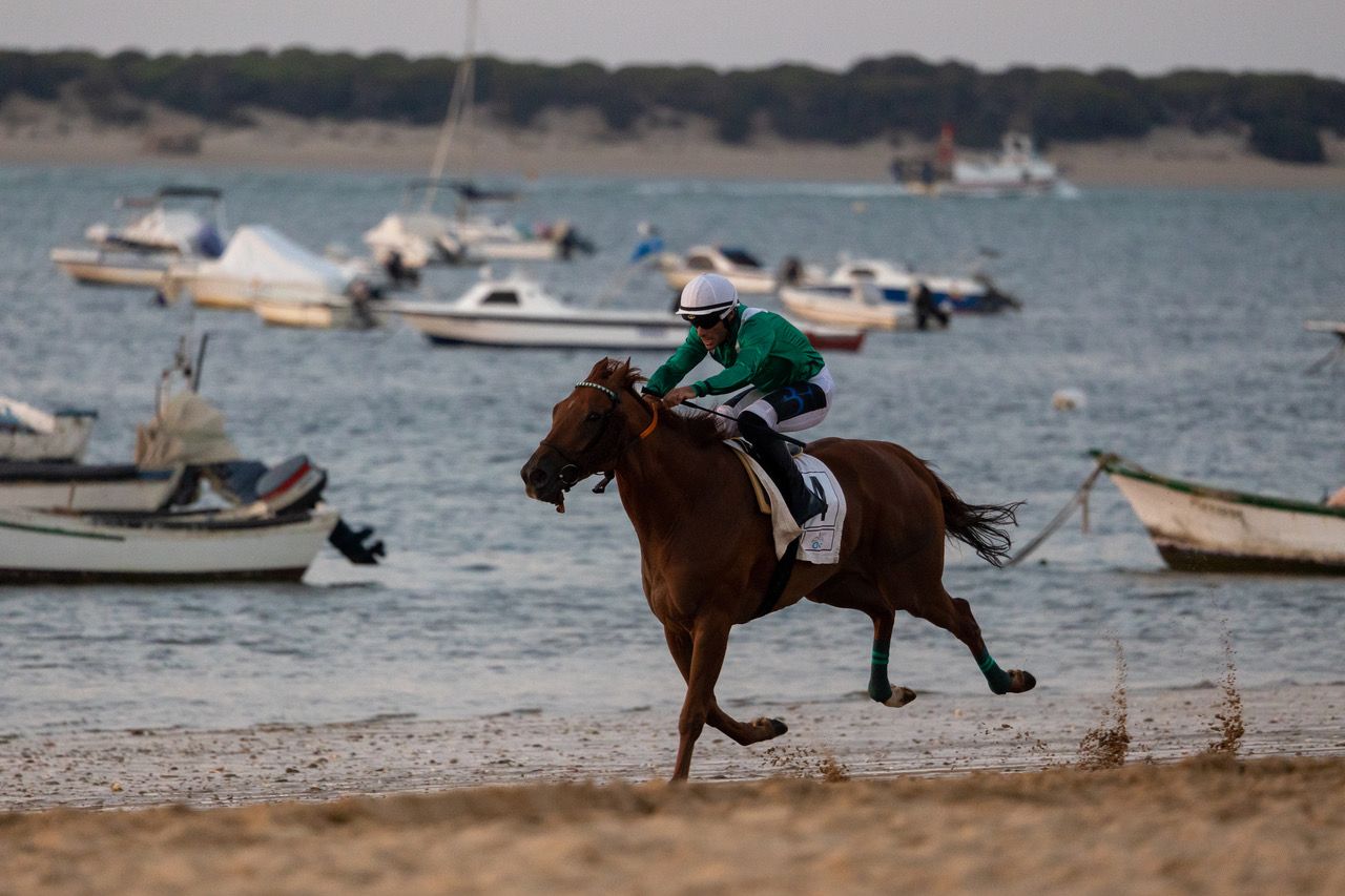 Galopando con Doñana al fondo.