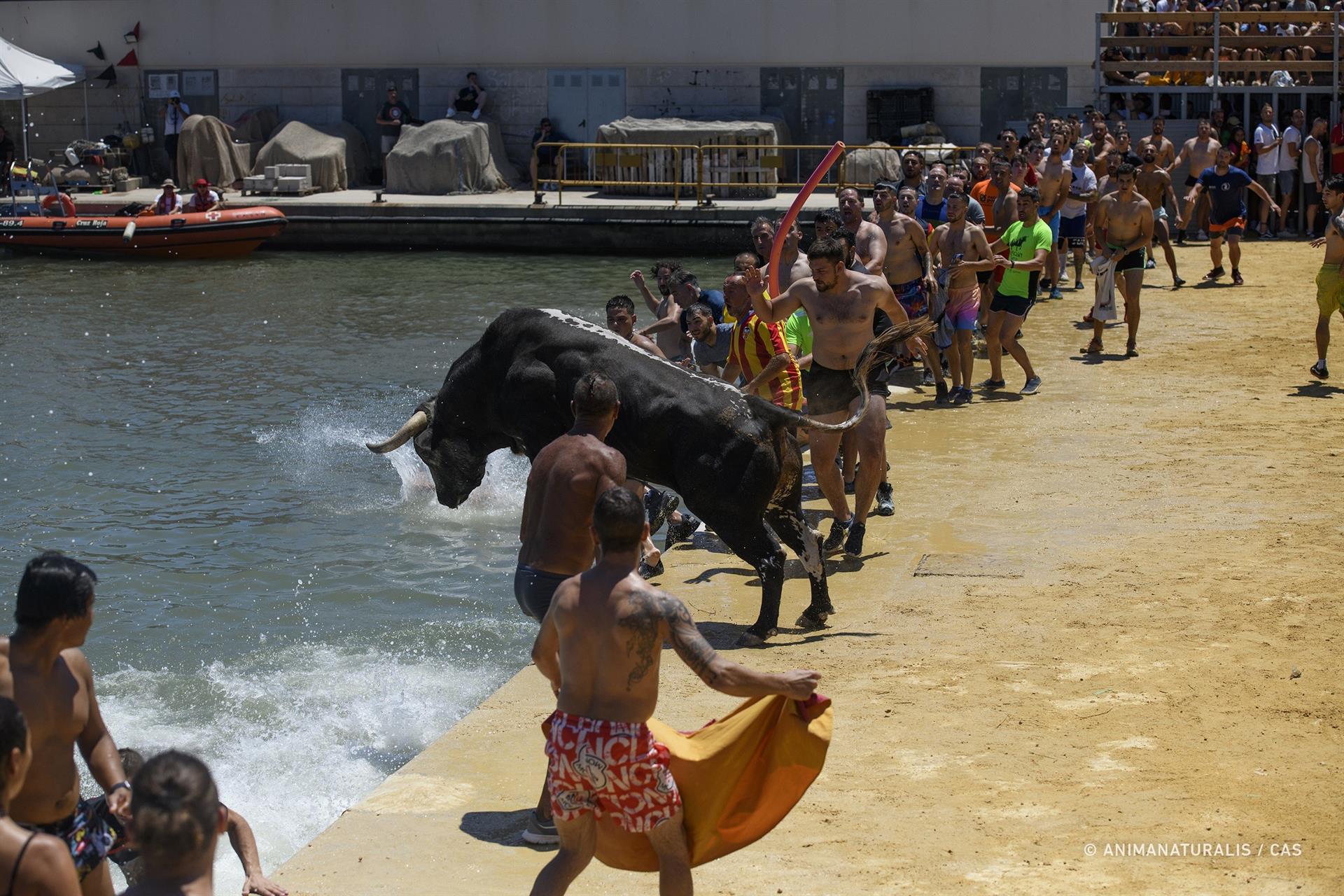 Un momento de uno de los festejos taurinos celebrados en tierras valencianas este verano.