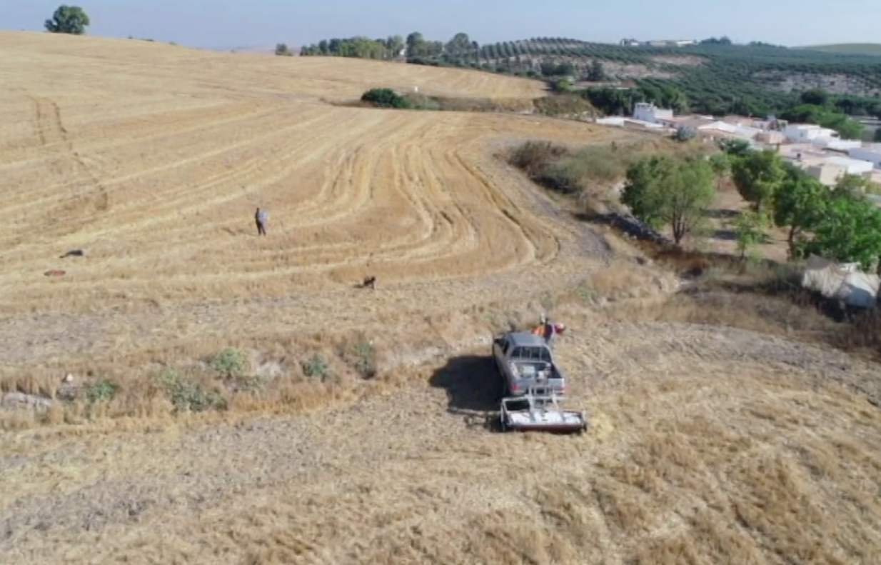 Investigadores de la UCA trabajando con georradares. FOTO: CANAL SUR. 