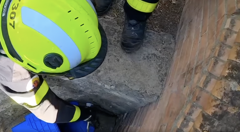 Bomberos de Jerez intervienen, en la zona de la Alameda Vieja, para rescatar la serpiente, en días pasados.