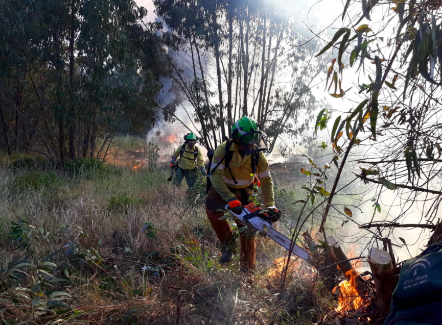Imagen de archivo de bomberos del Infoca luchando contra un incendio.