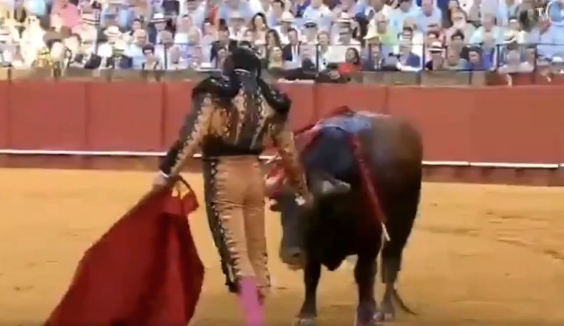 El torero Morante de la Puebla en La Maestranza. 