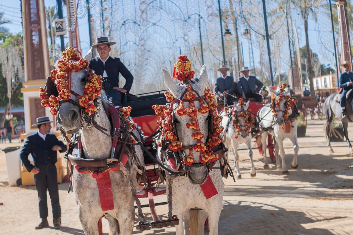 Un coche de caballos circula por el Real de la Feria, en una foto de archivo. FOTO: MANU GARCÍA