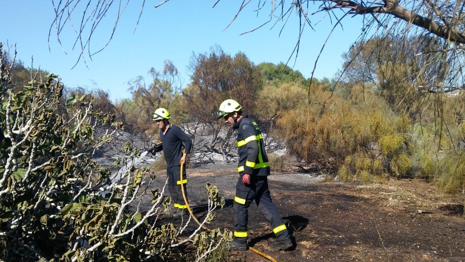 Bomberos en plena actuación.