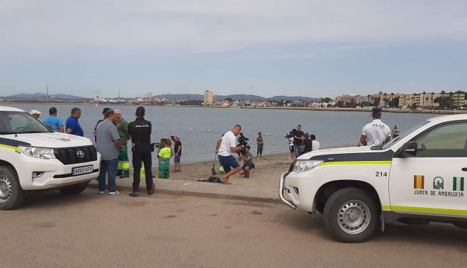 Están activados los planes de Actuación Local ante el Riesgo de Contaminación del Litoral