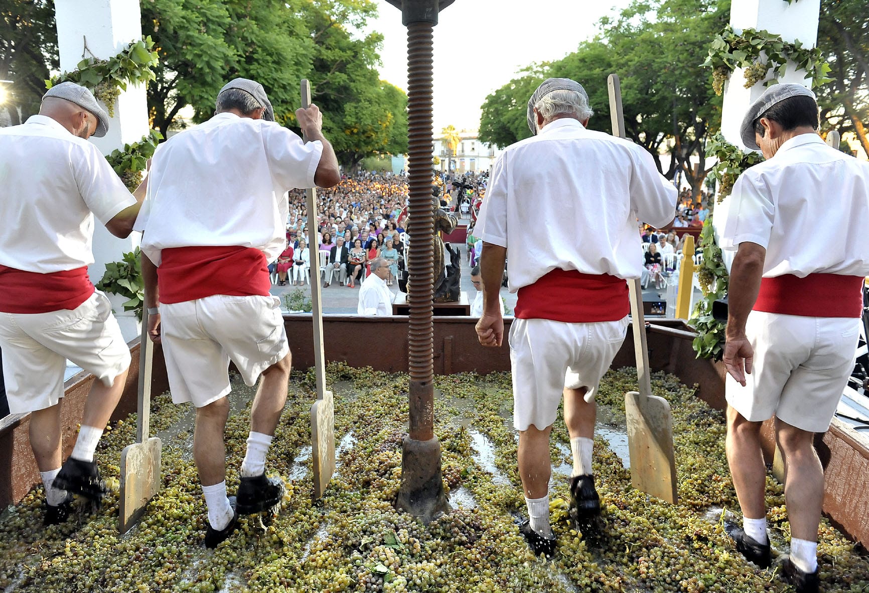 fiestas vendimia jerez