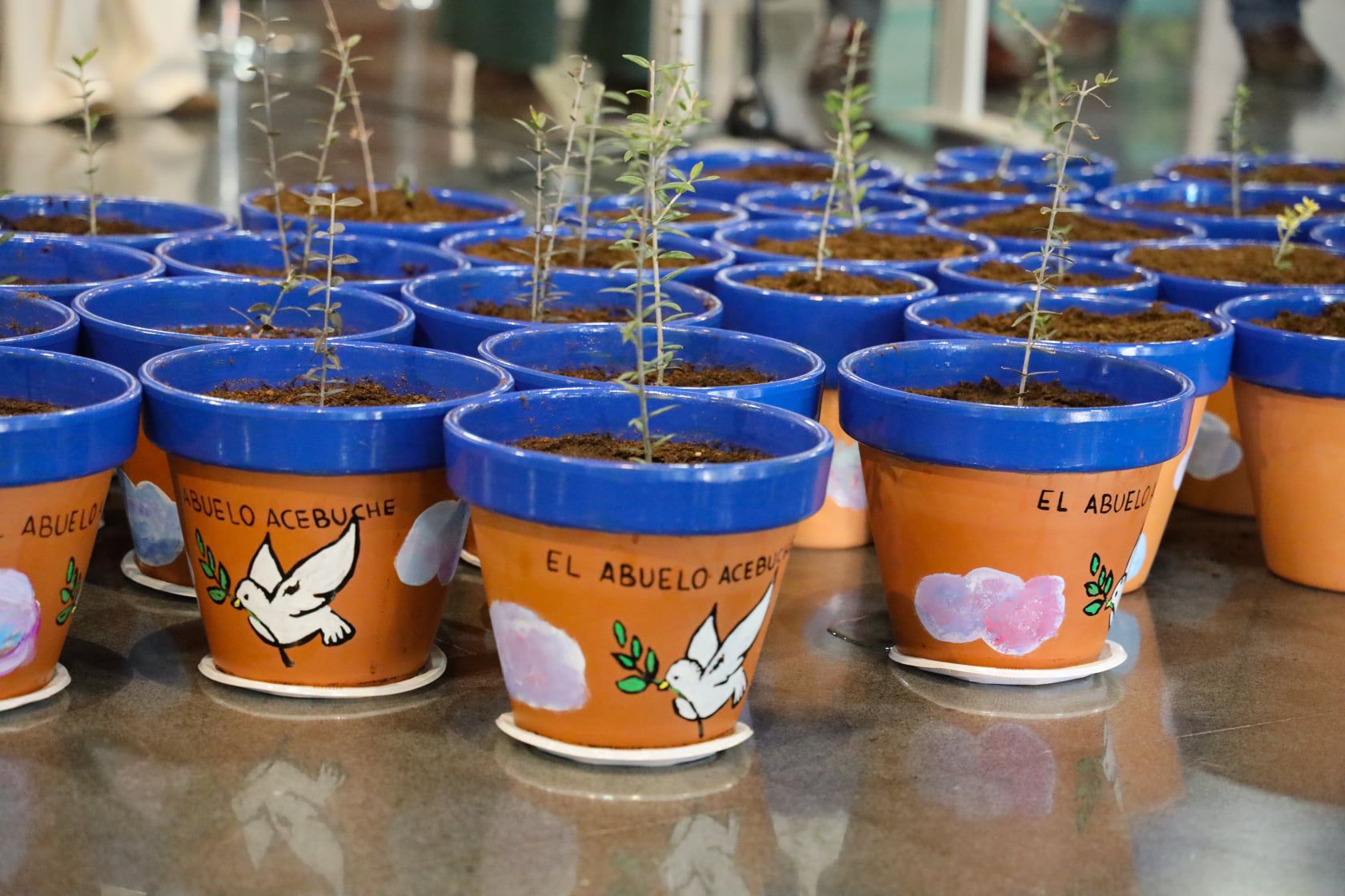 El proyecto Eracis, en stand by