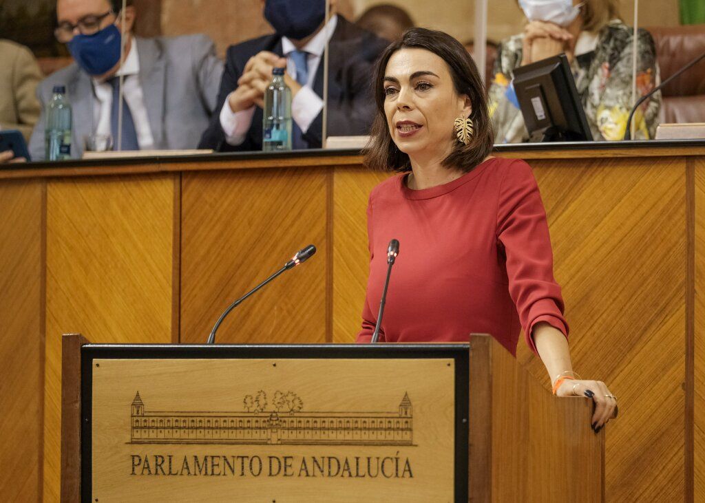 Teresa Pardo durante una intervención en la legislatura pasada como miembro de Ciudadanos. Teresa Pardo durante una intervención en la legislatura pasada como miembro de Ciudadanos.