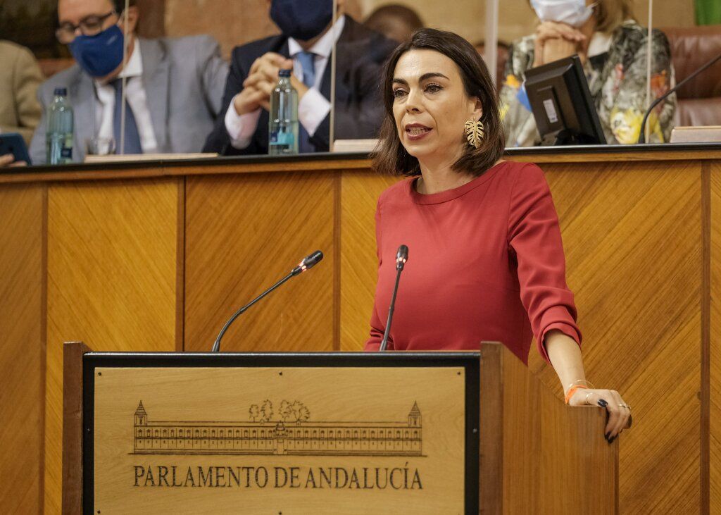 Teresa Pardo durante una intervención en la legislatura pasada como miembro de Ciudadanos.