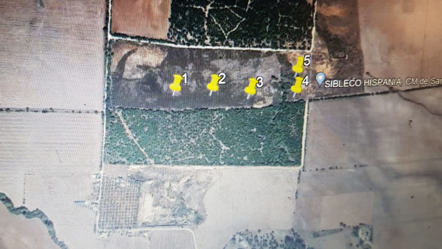 Parcela donde tienen previsto construir la planta.