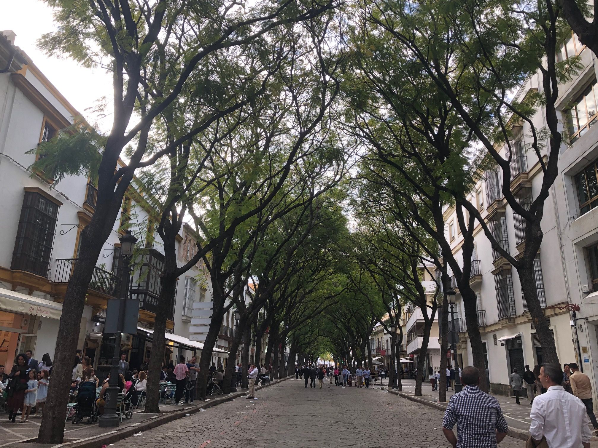 Imagen retrospectiva de la calle Porvera.