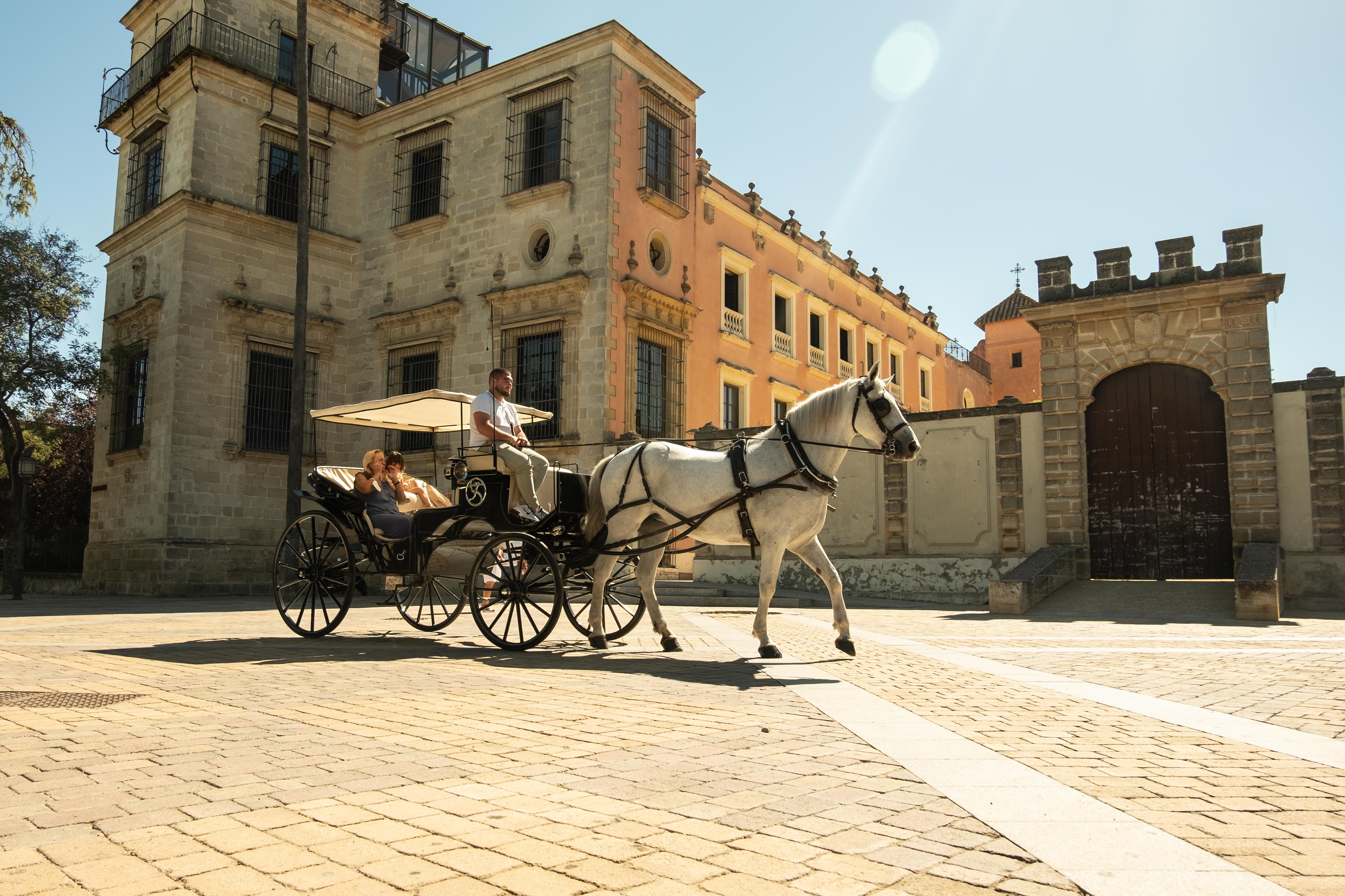 Un coche de caballo turístico por el centro de Jerez.