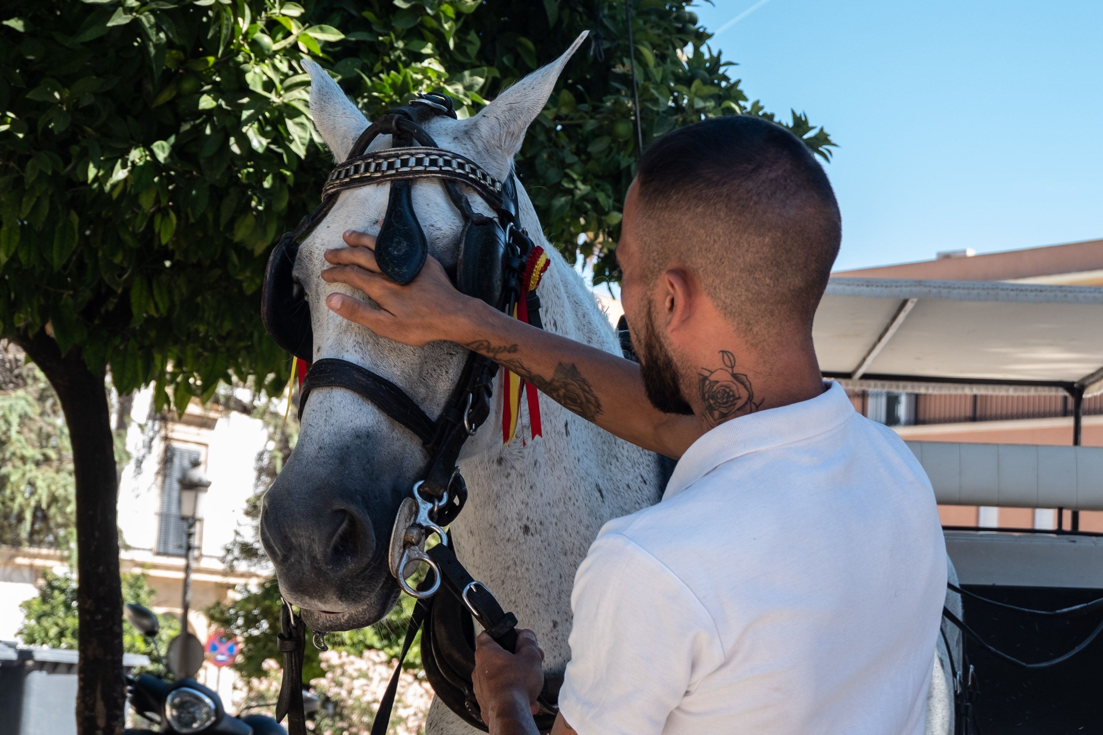 El presidente del colectivo de cocheros de Jerez opinando sobre la propuesta de coches de caballos eléctricos.