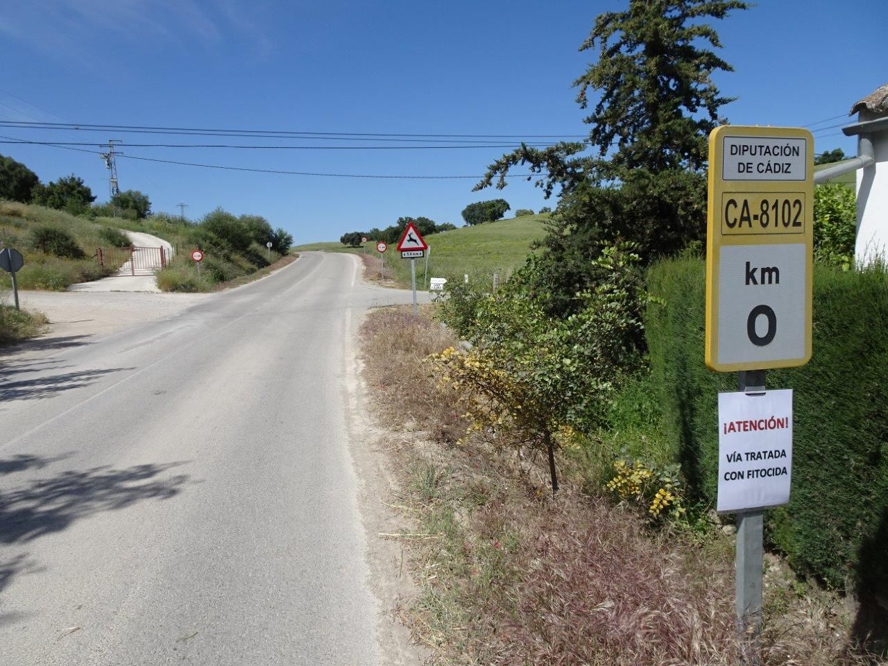 Una de las carreteras tratadas con glifosato, desde Prado del Rey a Zahara de la Sierra.