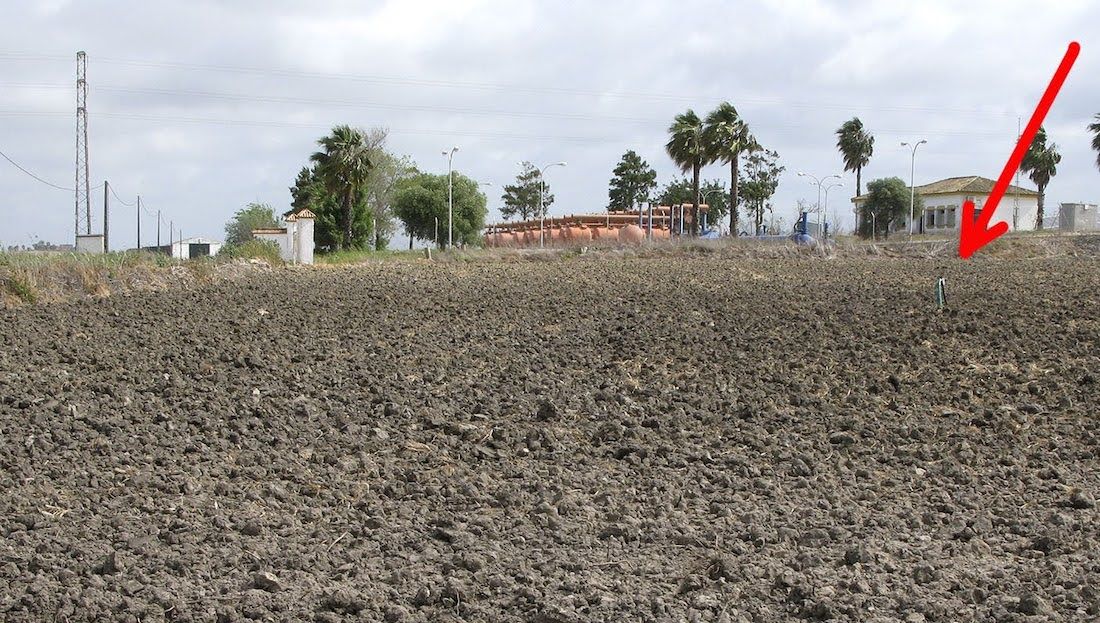 La colada de Los Charcos, una de las cañadas usurpadas en Rota.
