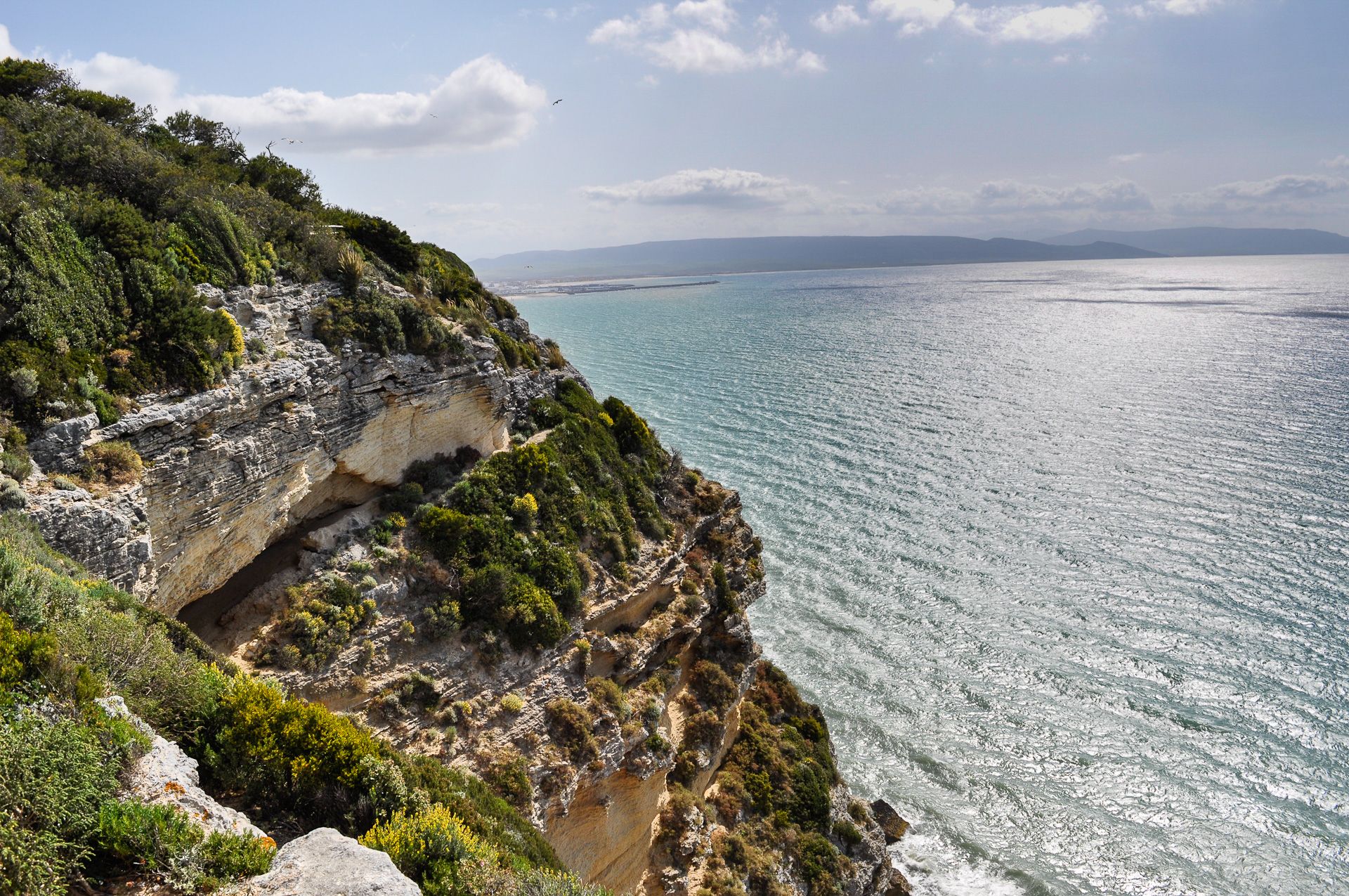 15238183465 bfc9e2303c o