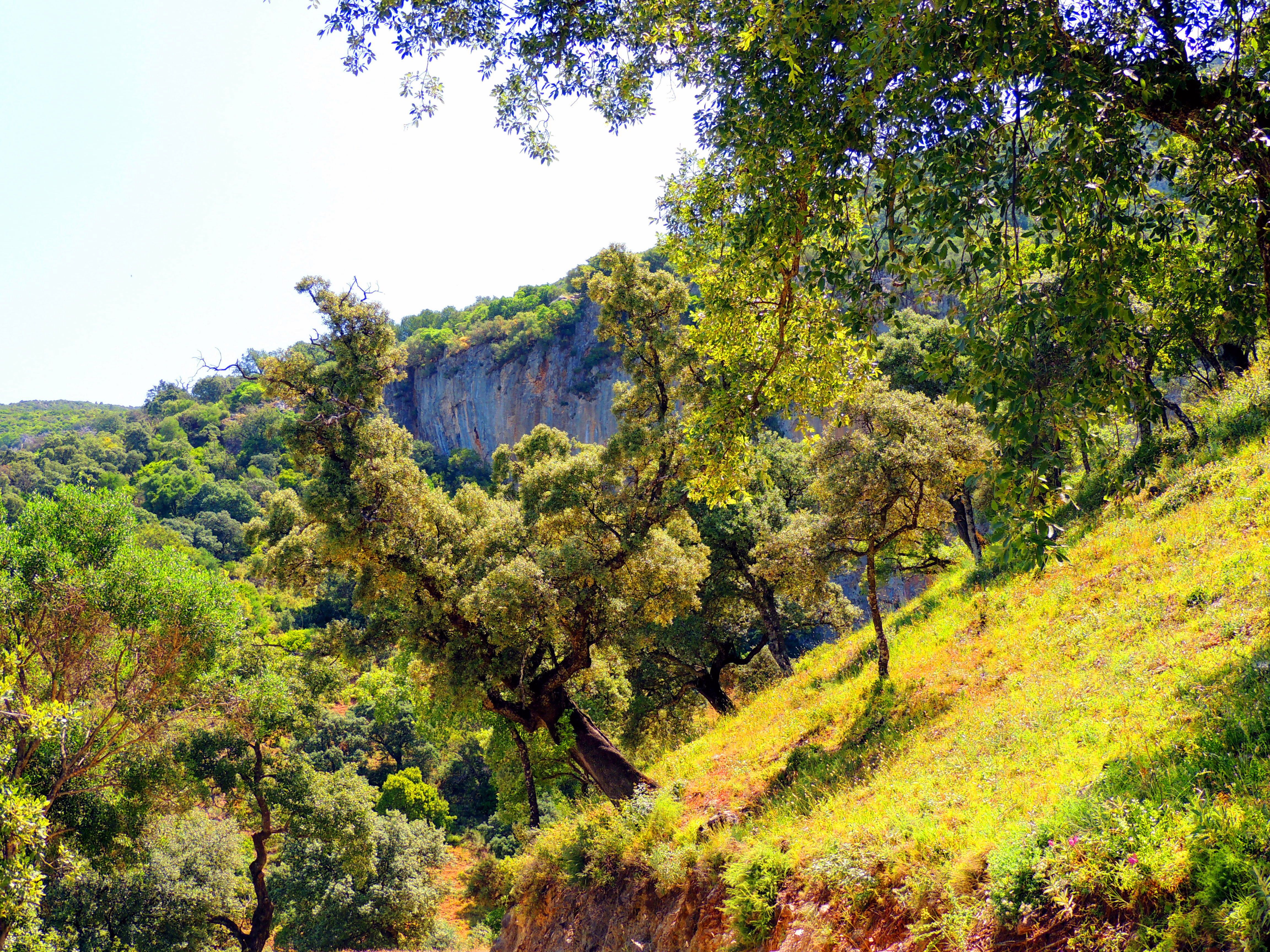 48092031751 f6976b5994 o