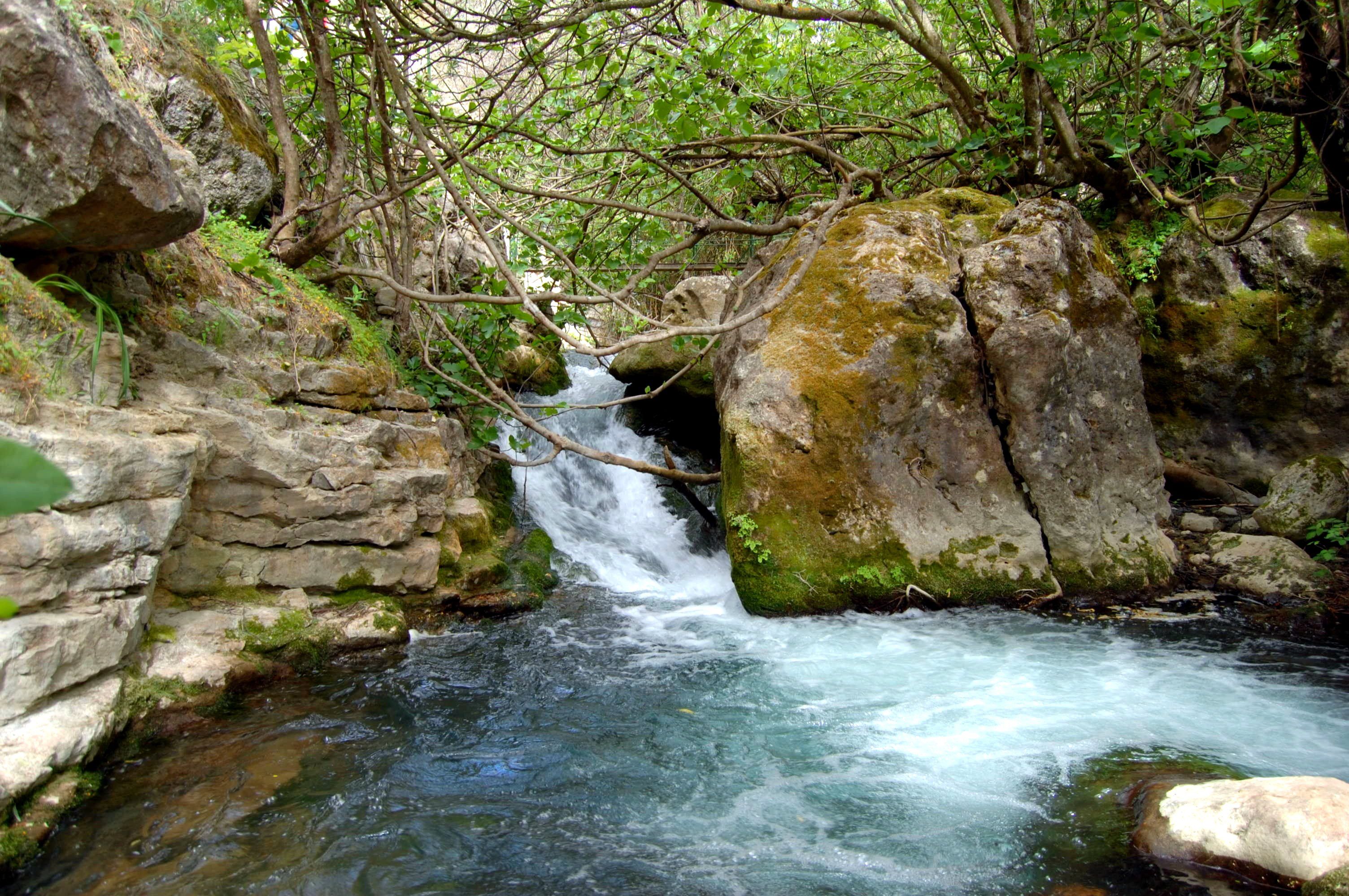 3635189234 08c74714ab o