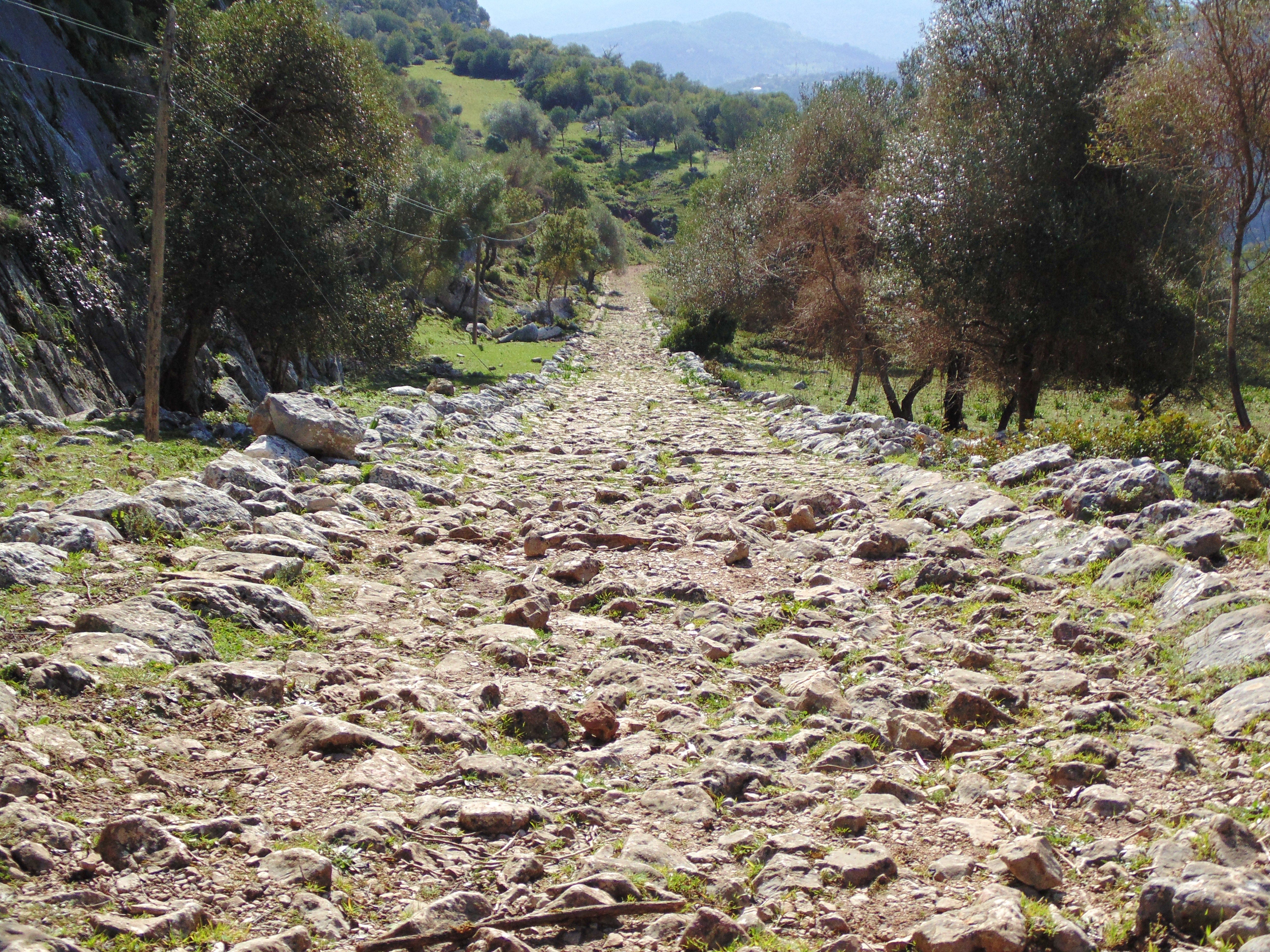 16436130300 ab055cd1c8 o