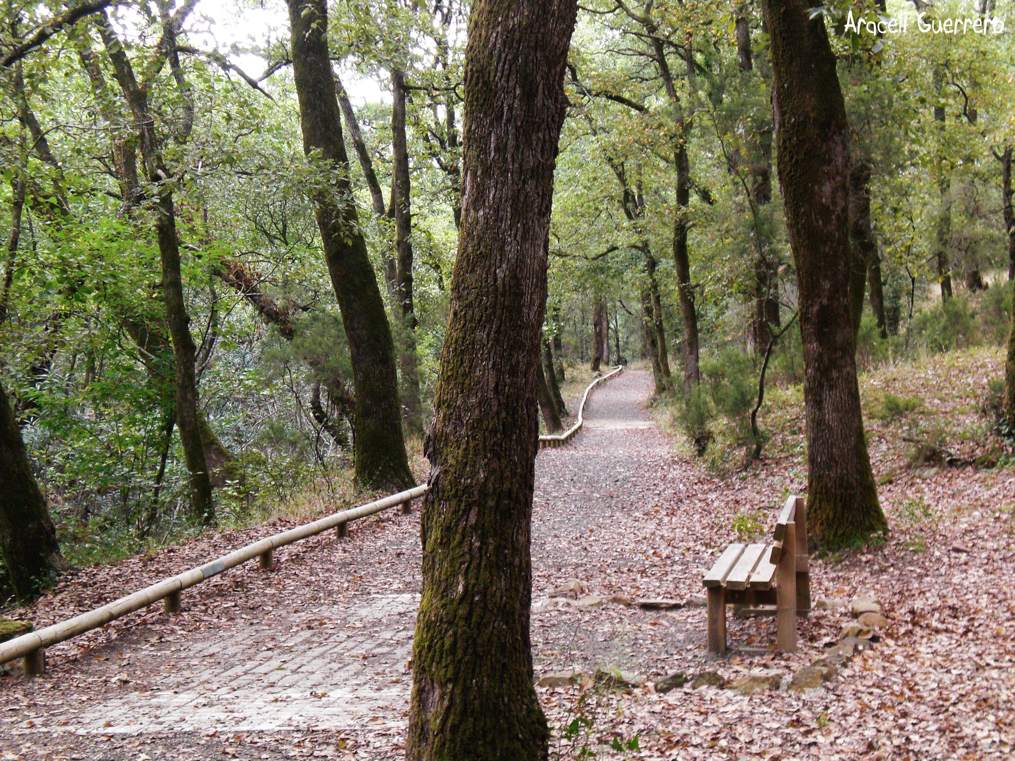 5431091445 a5b0ceb5e1 o