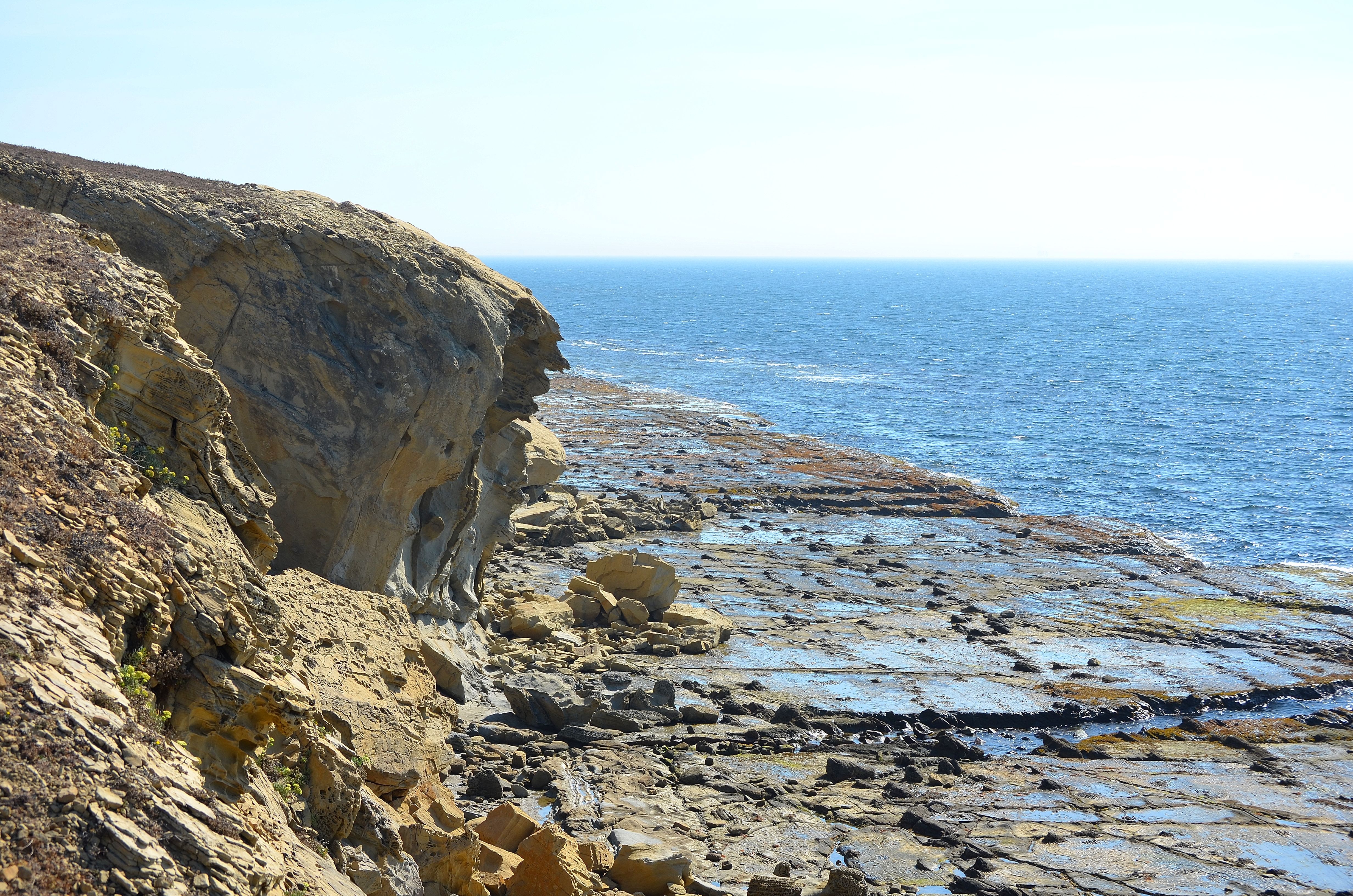 21112389438 7310bd19c2 o