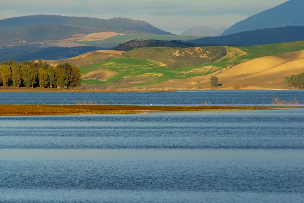 12744250133 9cc41a9366 o