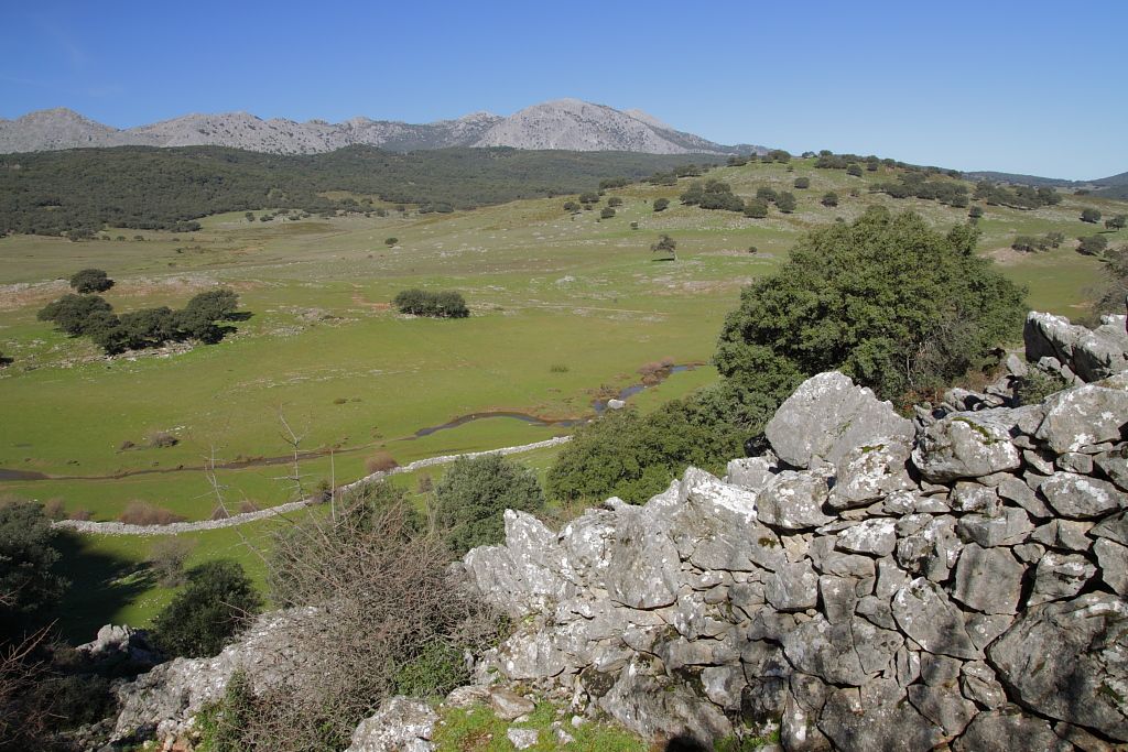 4642000901 b69ea0d85e o